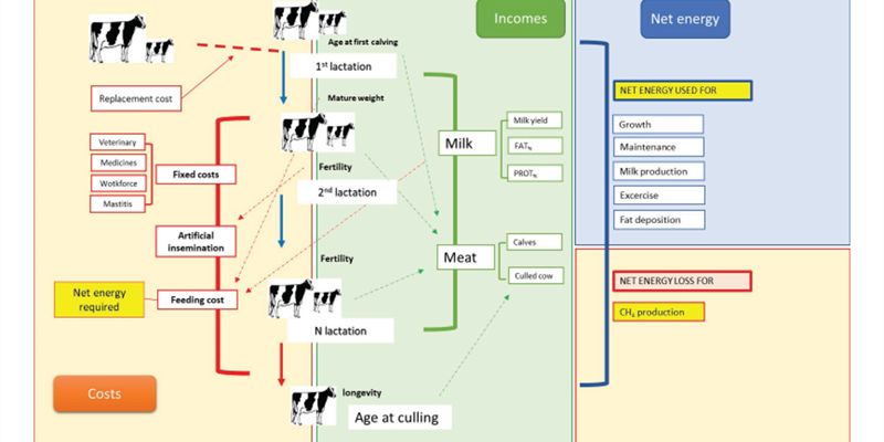 La revista cientfica Journal of Dairy Science destaca el proyecto METALGEN, liderado por cientficos espaoles