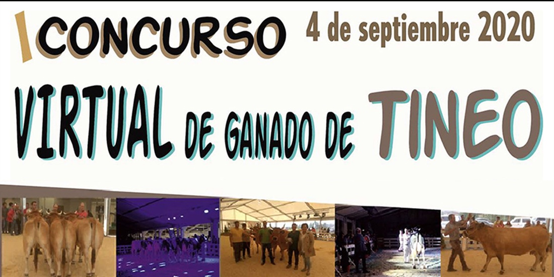 I Concurso Virtual de Tineo