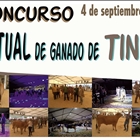 I Concurso Virtual de Tineo