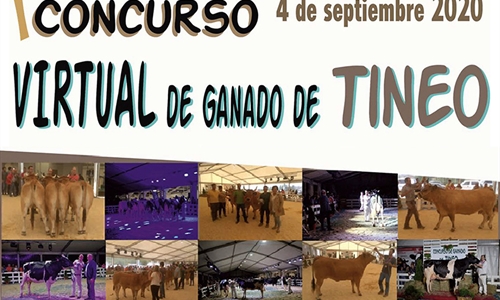 I Concurso Virtual de Tineo