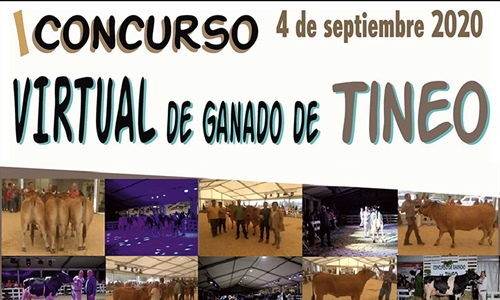 I Concurso Virtual de Tineo