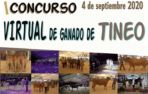 I Concurso Virtual de Tineo