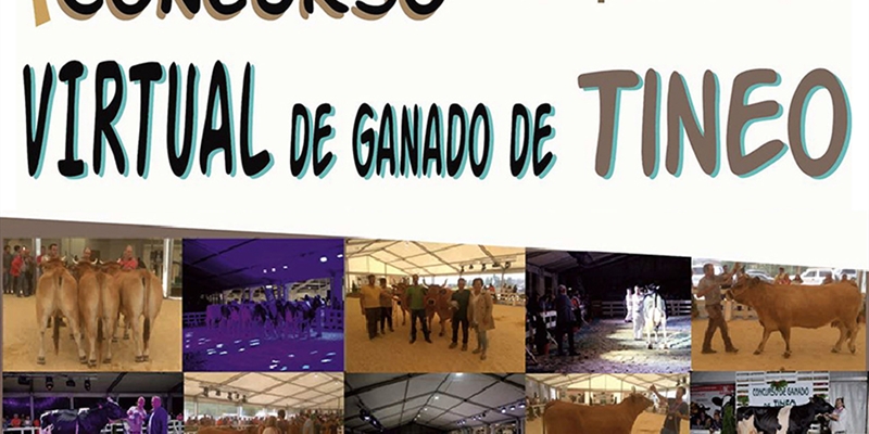 I Concurso Virtual de Tineo