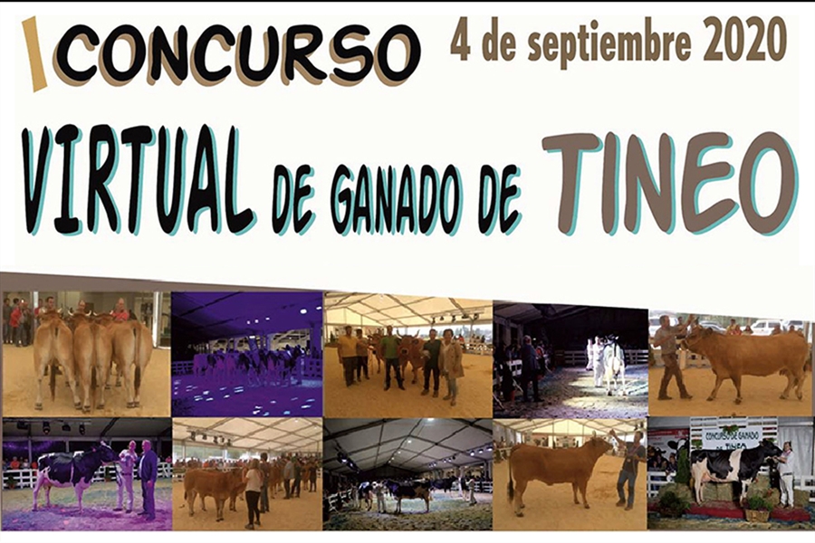 I Concurso Virtual de Tineo