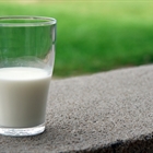 Científicos andaluces estudian si la leche de vaca inmune es efectiva contra el COVID-19