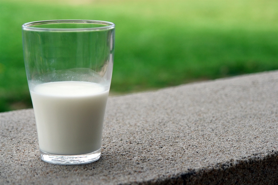 Cientficos andaluces estudian si la leche de vaca inmune es efectiva...