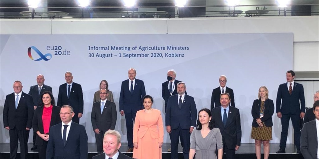 Luis Planas: La seguridad alimentaria se basa en cadenas de suministro...