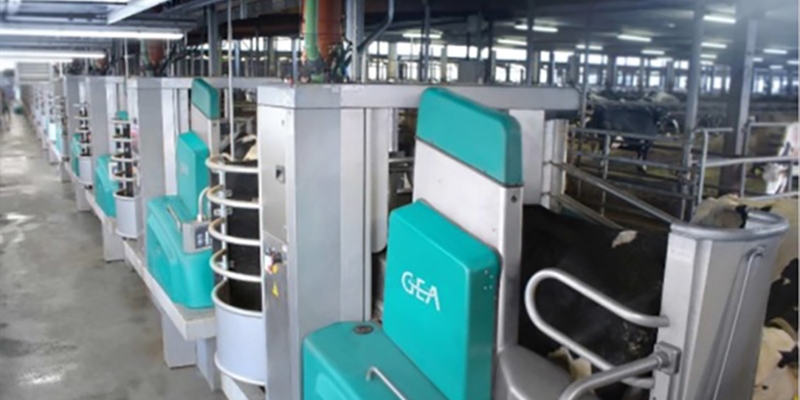 GEA pone en funcionamiento una instalación de ordeño robotizado para 800 vacas con 16 robots R9500