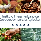 El IICA destaca al sector lcteo como fundamental para la seguridad alimentaria