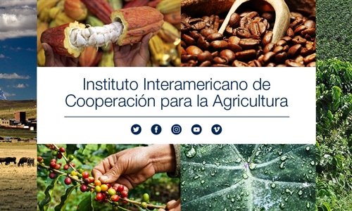 El IICA destaca al sector lcteo como fundamental para la seguridad...