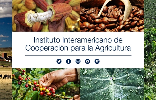El IICA destaca al sector lcteo como fundamental para la seguridad...
