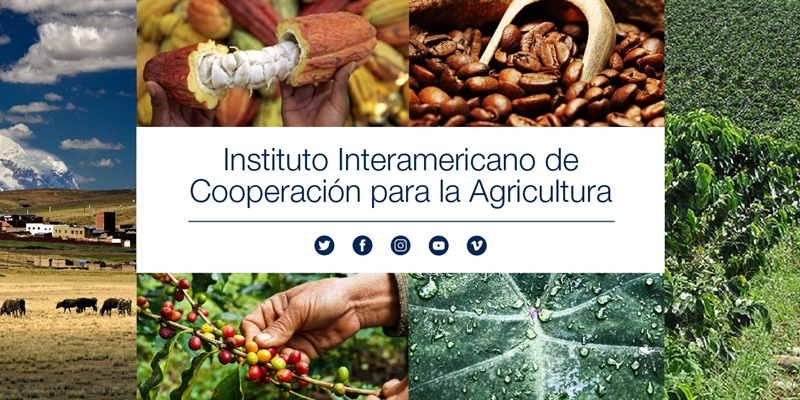 El IICA destaca al sector lcteo como fundamental para la seguridad alimentaria