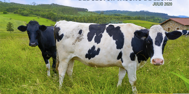 El precio en origen de la leche de vaca sube en Espaa un 1,56 % respecto al mismo mes de 2019