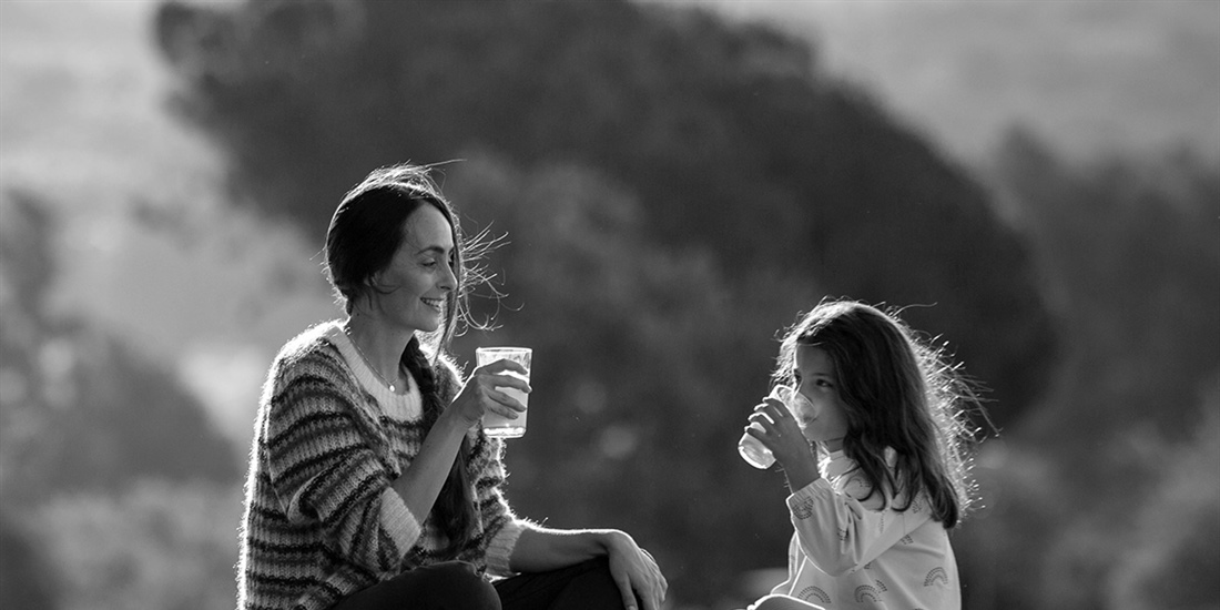 Pascual elev sus ventas y redujo su deuda financiera y beneficios en 2019