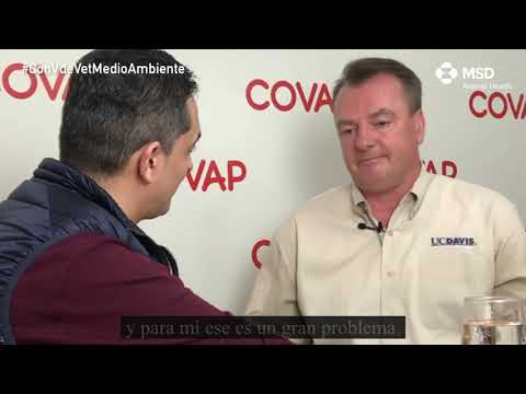 La ganadera espaola ha reducido su impacto medioambiental en las...