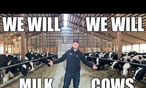 We Will Milk Cows, una genial parodia musical que rinde homenaje a...