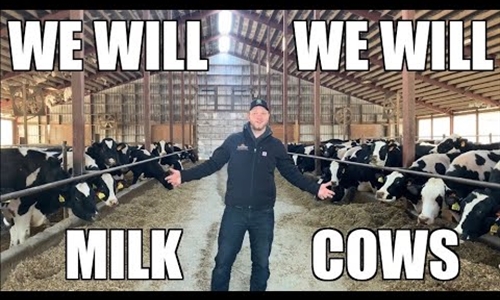 We Will Milk Cows, una genial parodia musical que rinde homenaje a...