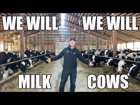 We Will Milk Cows, una genial parodia musical que rinde homenaje a...