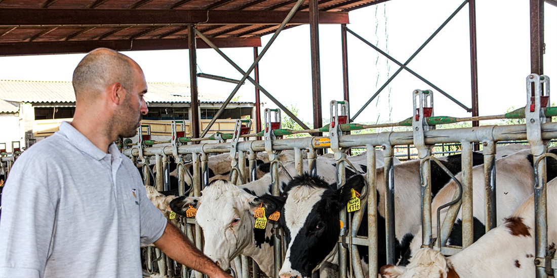 "La genmica es una gran herramienta para la toma de decisiones...