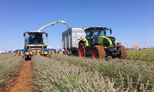 Cerca de un millar de agricultores y ganaderos se beneficiarn del Plan...