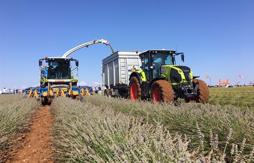 Cerca de un millar de agricultores y ganaderos se beneficiarn del Plan...