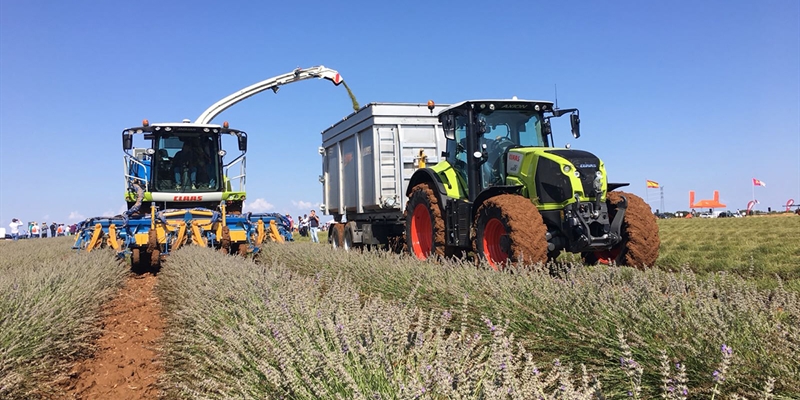 Cerca de un millar de agricultores y ganaderos se beneficiarn del Plan Renove 2020