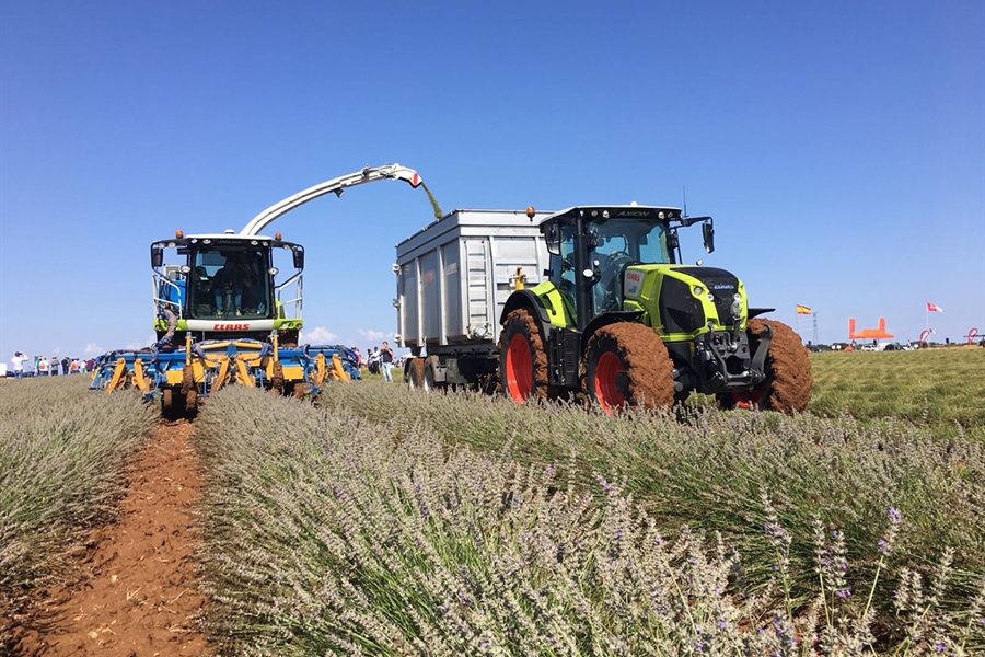 Cerca de un millar de agricultores y ganaderos se beneficiarn del Plan...