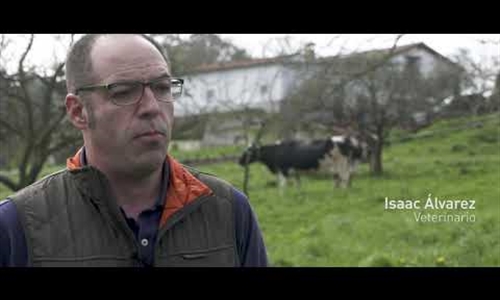 Vídeos: Respuestas para poner en valor el trabajo de los ganaderos y...