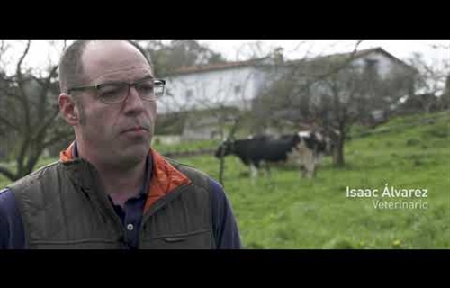 Vdeos: Respuestas para poner en valor el trabajo de los ganaderos y...