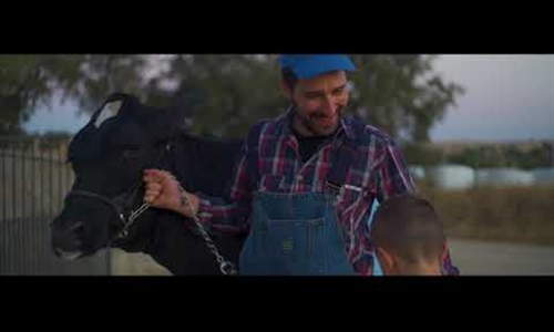 El Concurso de Ganado Frisn Usas Holstein de Dos Torres celebra su...