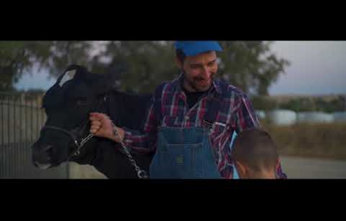 El Concurso de Ganado Frisn Usas Holstein de Dos Torres celebra su...