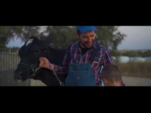 El Concurso de Ganado Frisn Usas Holstein de Dos Torres celebra su...
