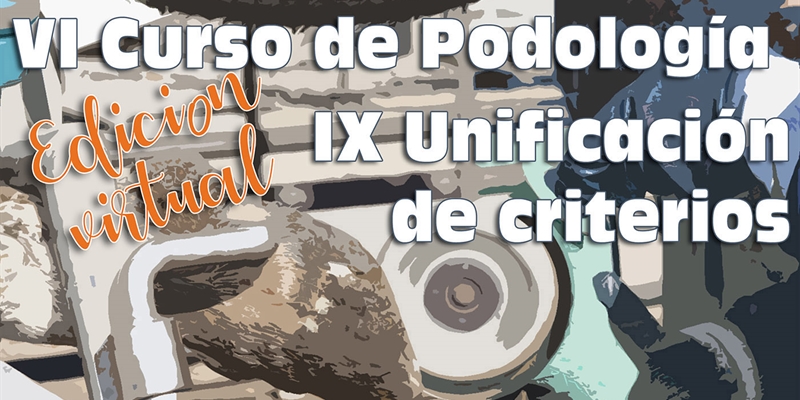 VI Curso de Podologa y IX Unificacin de criterios I-SAP 2020