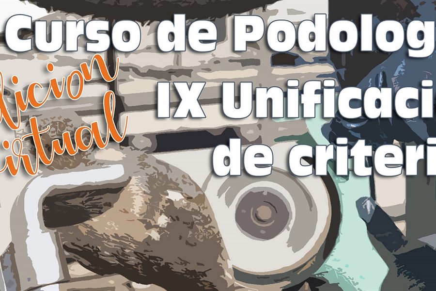 VI Curso de Podologa y IX Unificacin de criterios I-SAP 2020