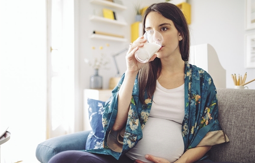 Los lcteos, aliados en la dieta de las mujeres embarazadas segn los...