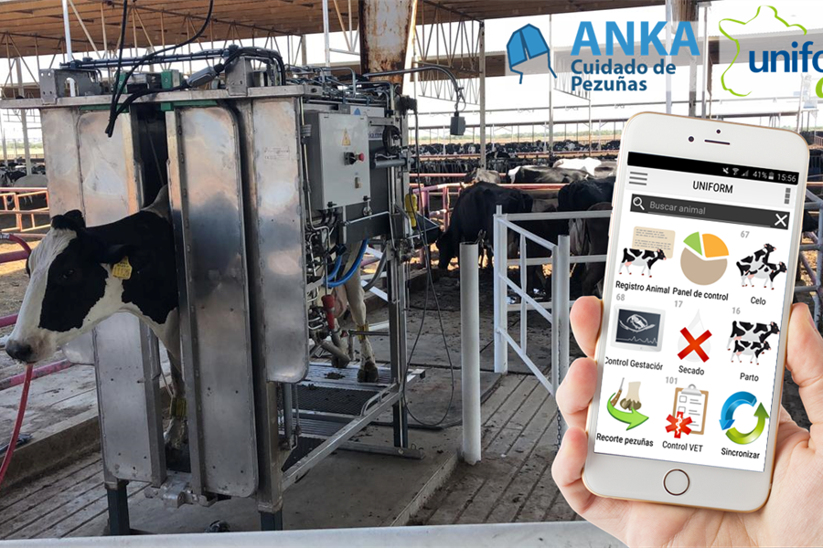 Intercambio de datos de salud podal entre UNIFORM-Repro y la app de...