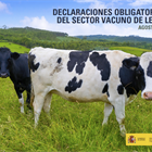 El precio medio en origen de la leche de vaca en agosto permanece en 0,325 /litro pero sube 0,6 % respecto a 2019