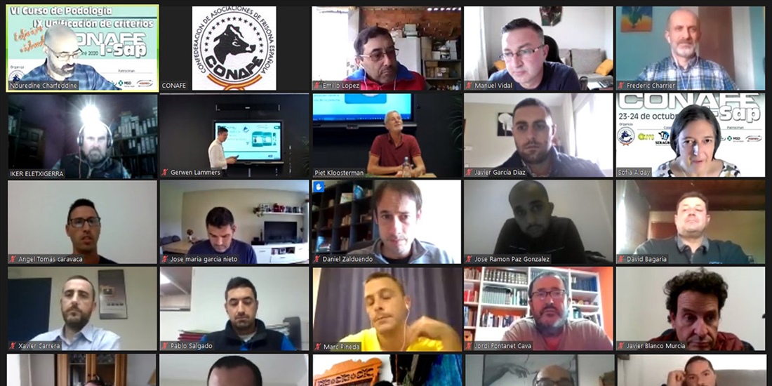 Gran xito de la edicin virtual del VI Curso de Podologa y IX...