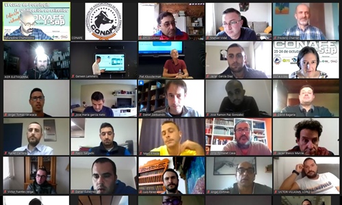 Gran xito de la edicin virtual del VI Curso de Podologa y IX...