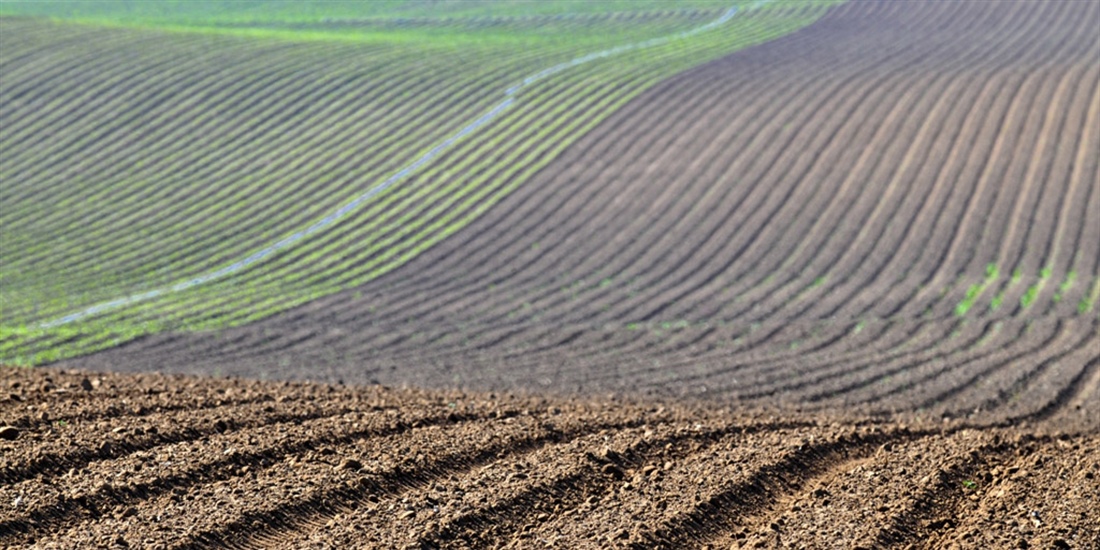 El presupuesto del Ministerio de Agricultura, Pesca y Alimentacin para...