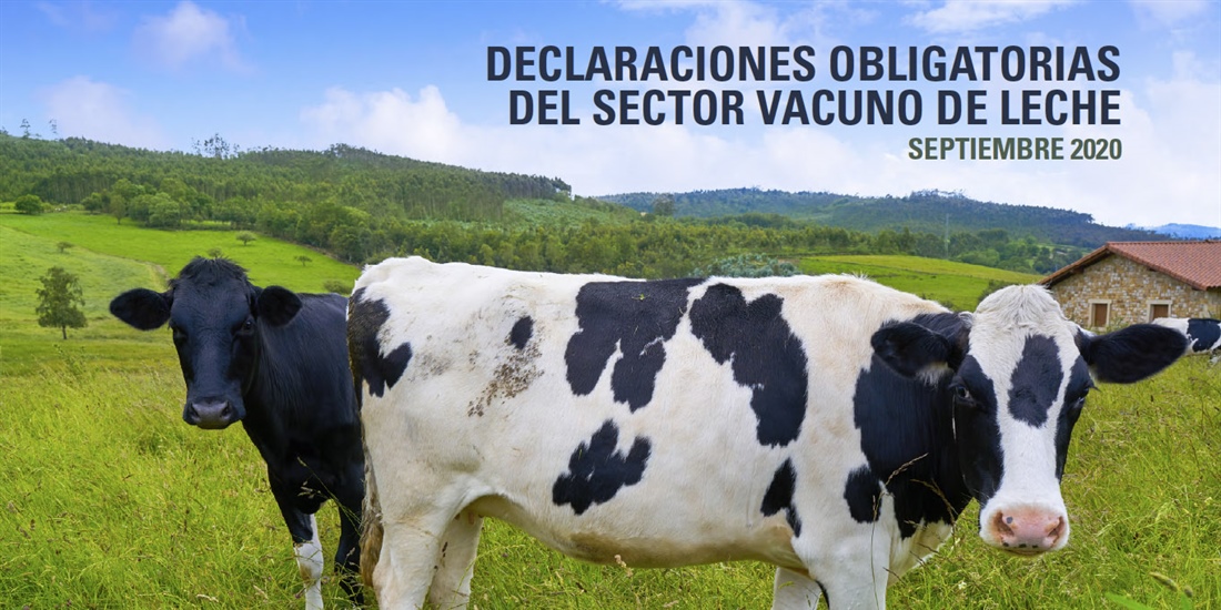 El precio en origen de la leche de vaca sube un 0,92% en septiembre...