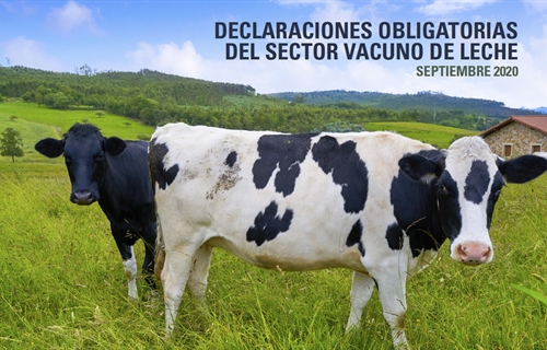 El precio en origen de la leche de vaca sube un 0,92% en septiembre...