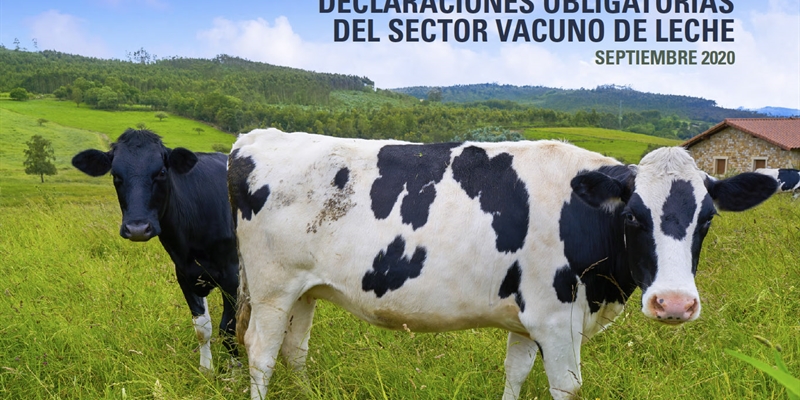 El precio en origen de la leche de vaca sube un 0,92% en septiembre hasta los 0,329 euros/litro