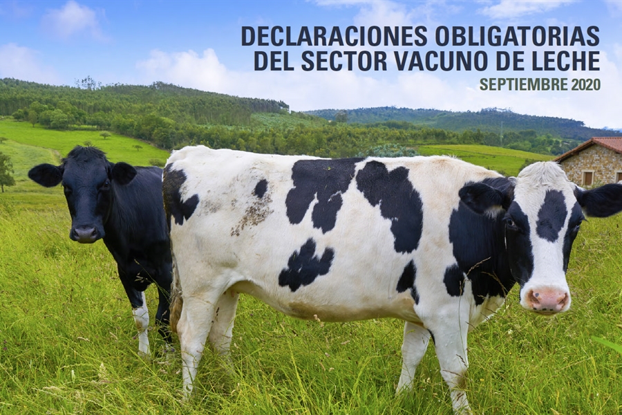 El precio en origen de la leche de vaca sube un 0,92% en septiembre...