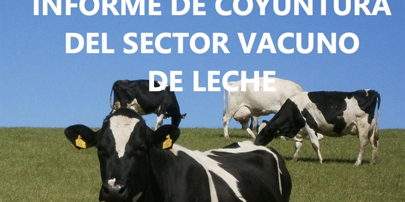 El censo de vacas de ordeo se reduce un 1 % interanual en noviembre