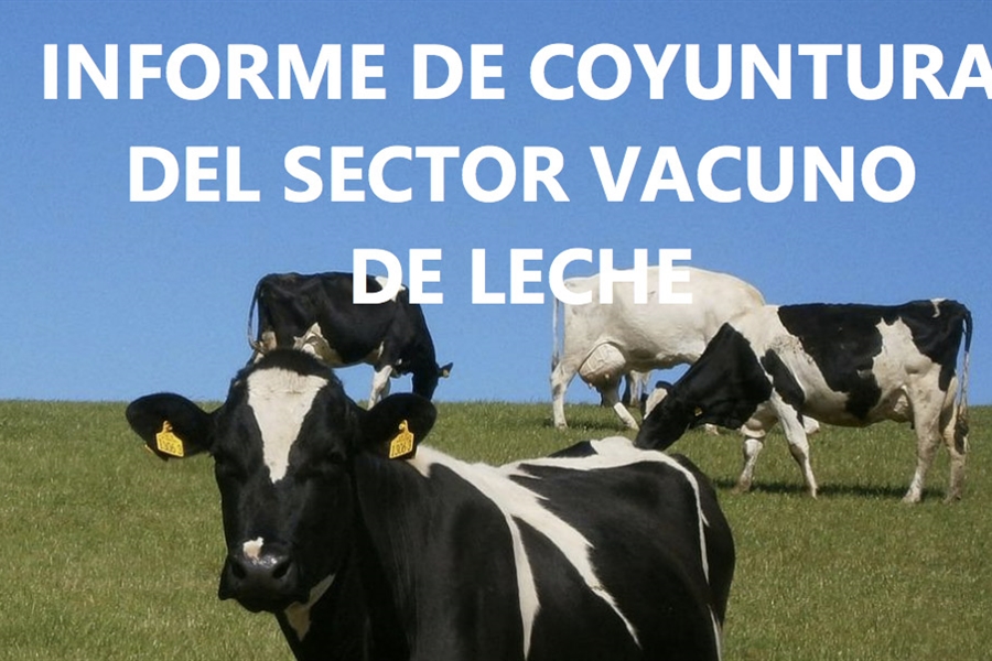 El censo de vacas de ordeo se reduce un 1 % interanual en noviembre