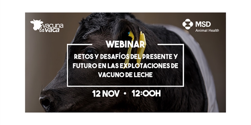 "Retos y desafos del presente y futuro en las explotaciones de vacuno de leche", segundo webinar organizado por MSD Animal Health