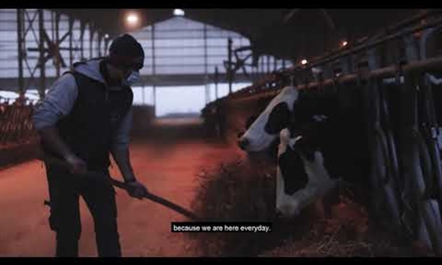 Edicin especial online del Concurso de Ganado Lechero de Cremona 2020