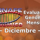 Nuevos toros genómicos con Prueba Oficial: Evaluación genómica de diciembre 2020