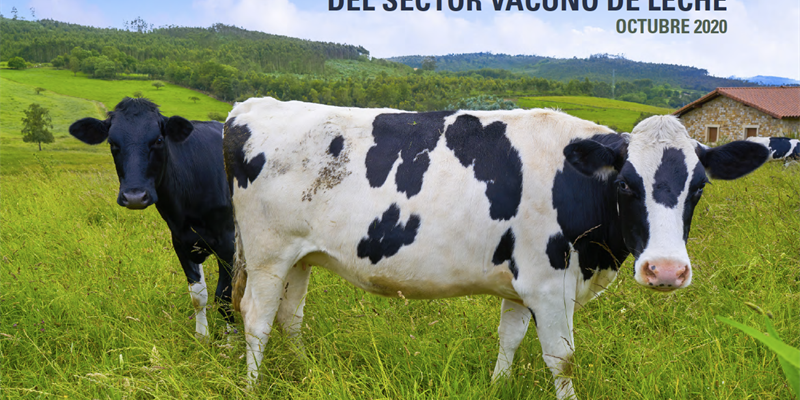 El precio en origen de la leche de vaca sube un 2,4 por ciento en octubre y alcanza su mximo de 2020